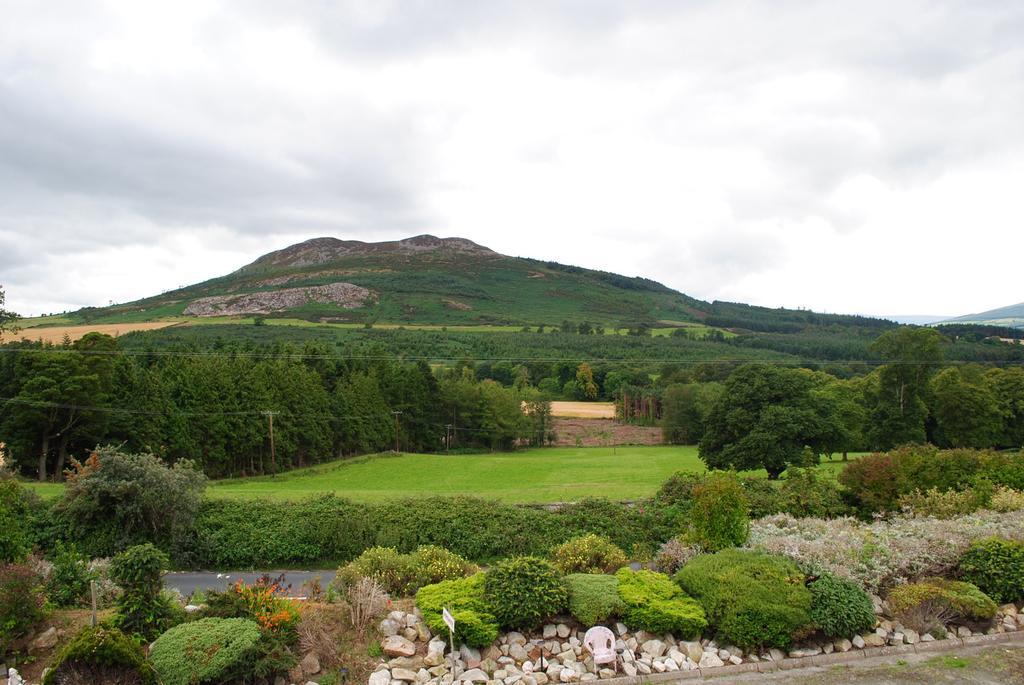 Hillview B&B Bray Exterior photo